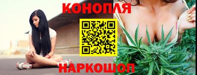 mdma Сланцы