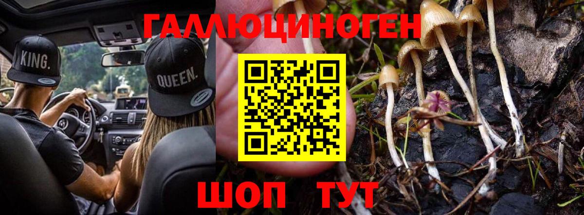Петрозаводск  Псилоцибиновые грибы прущие грибы  Вход с VPN  как найти закладки  Псилоцибиновые грибы Magic Shrooms 