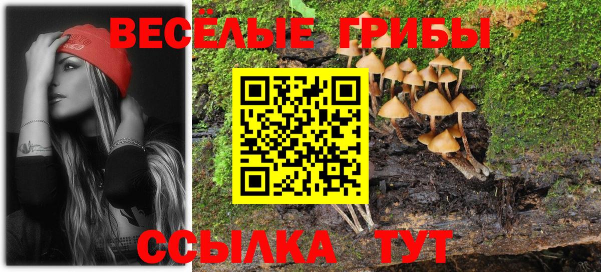 Галлюциногенные грибы MAGIC MUSHROOMS Петрозаводск